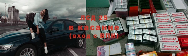 ГАЛЛЮЦИНОГЕННЫЕ ГРИБЫ Покров