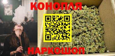 шишки Канаш