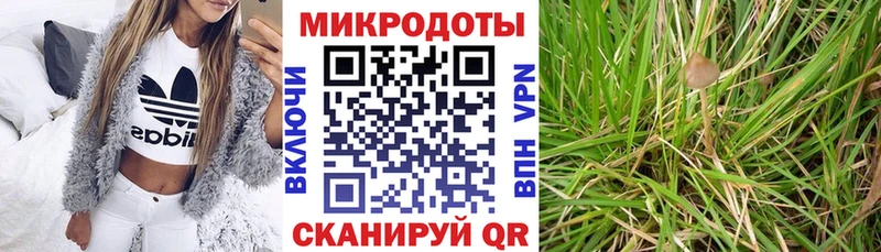 omg сайт  Аксай  Галлюциногенные грибы GOLDEN TEACHER 
