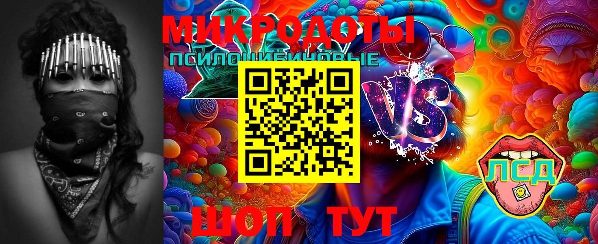 Псилоцибиновые грибы GOLDEN TEACHER Аксай