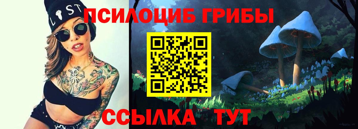 Псилоцибиновые грибы мицелий Аксай